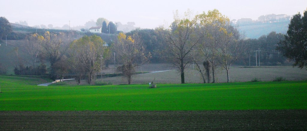 Passeggiate d’inverno