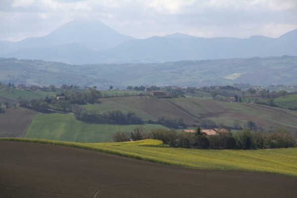 Dove abbiamo sbagliato&nbsp;strada?