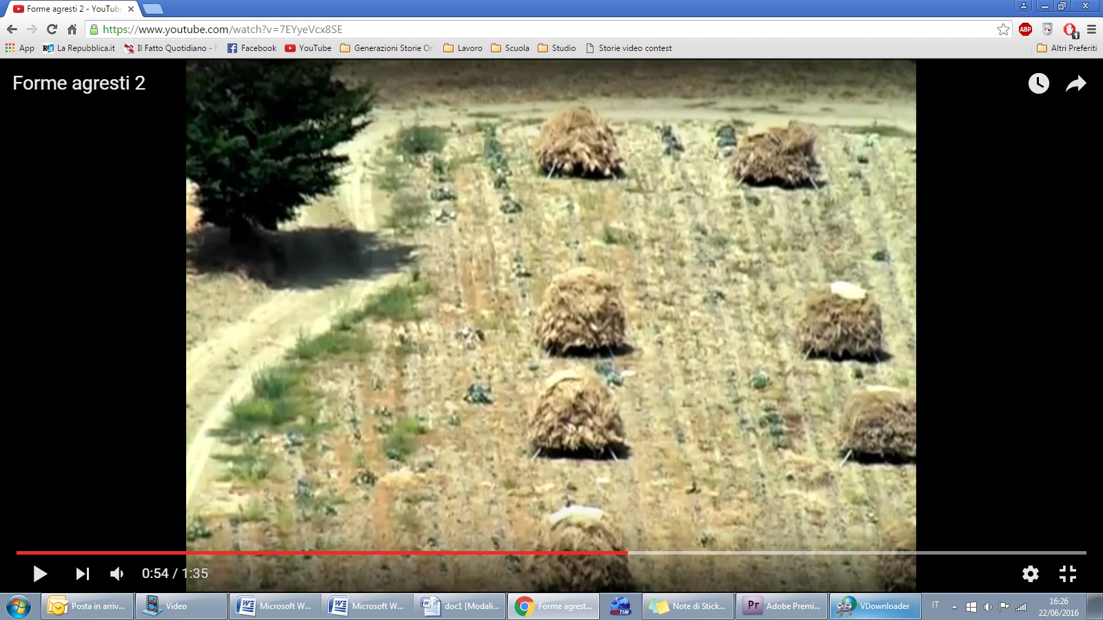 Immagine cavoli seme