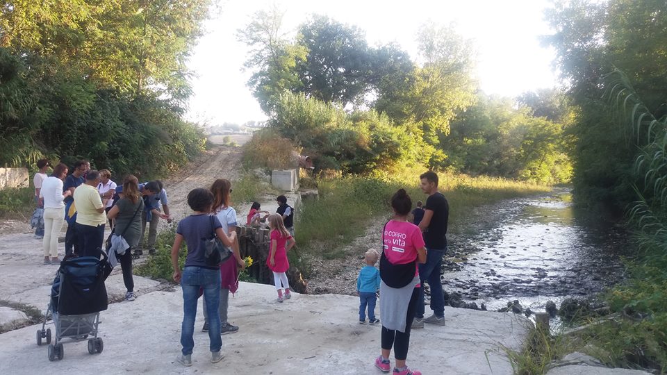 14449720_1248359835209236_2168665598646923419_n