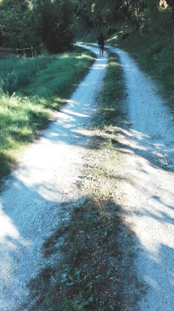 Un sentiero di&nbsp;racconti