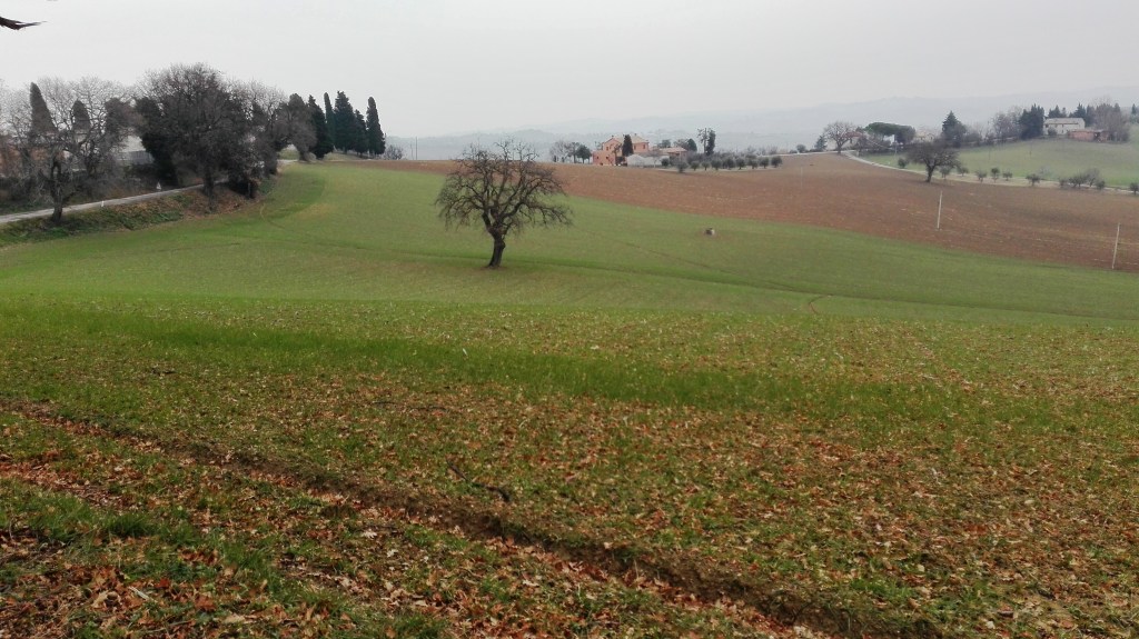 Quattordici chilometri a piedi e (non)&nbsp;sentirli