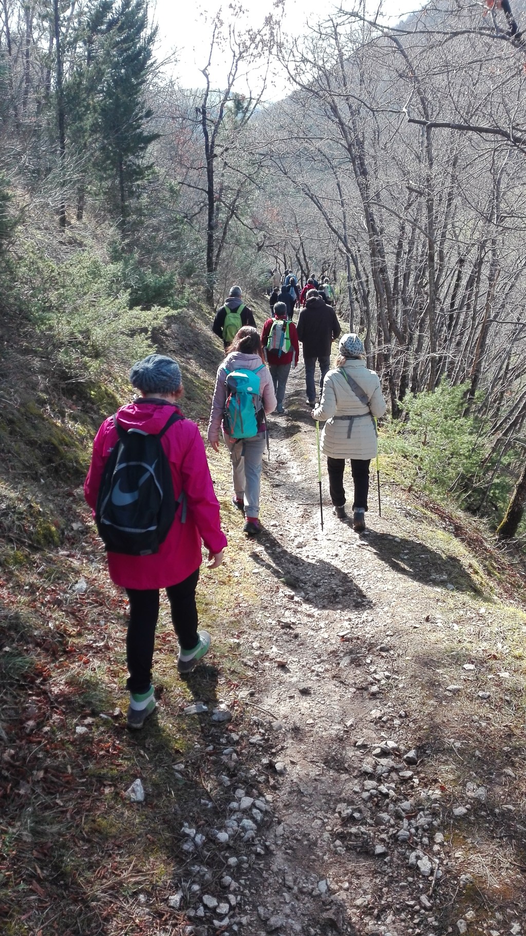 Passeggiate della conoscenza