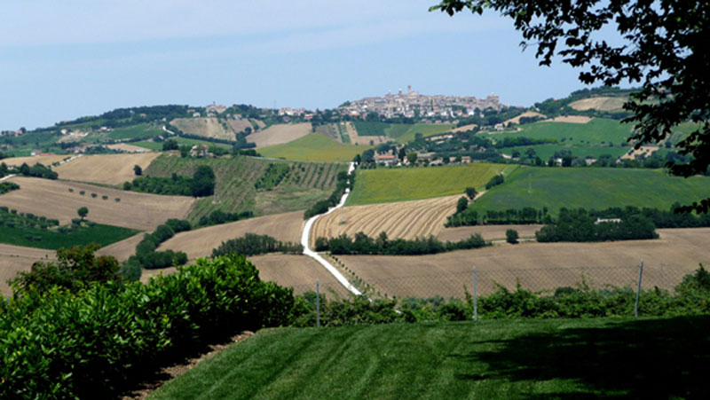 2-paesaggio-agricolo--marchigiano