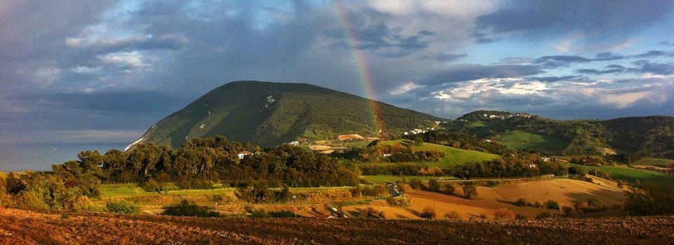 Verso un manifesto per la cultura delle&nbsp;Marche