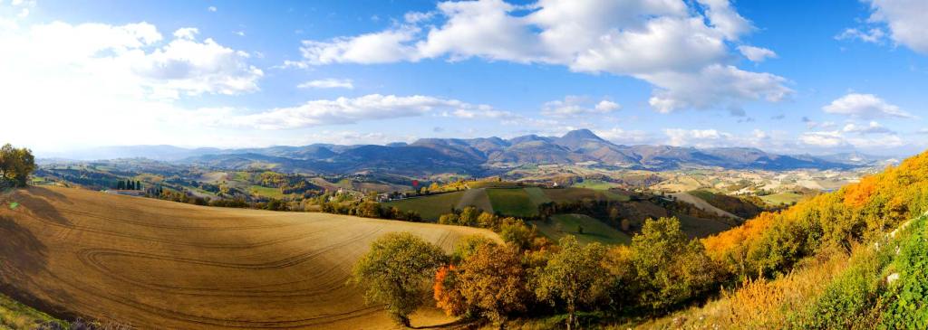 Percorrere nuovi sentieri e dissodare terreni incolti – Verso un manifesto per la cultura delle&nbsp;Marche/2