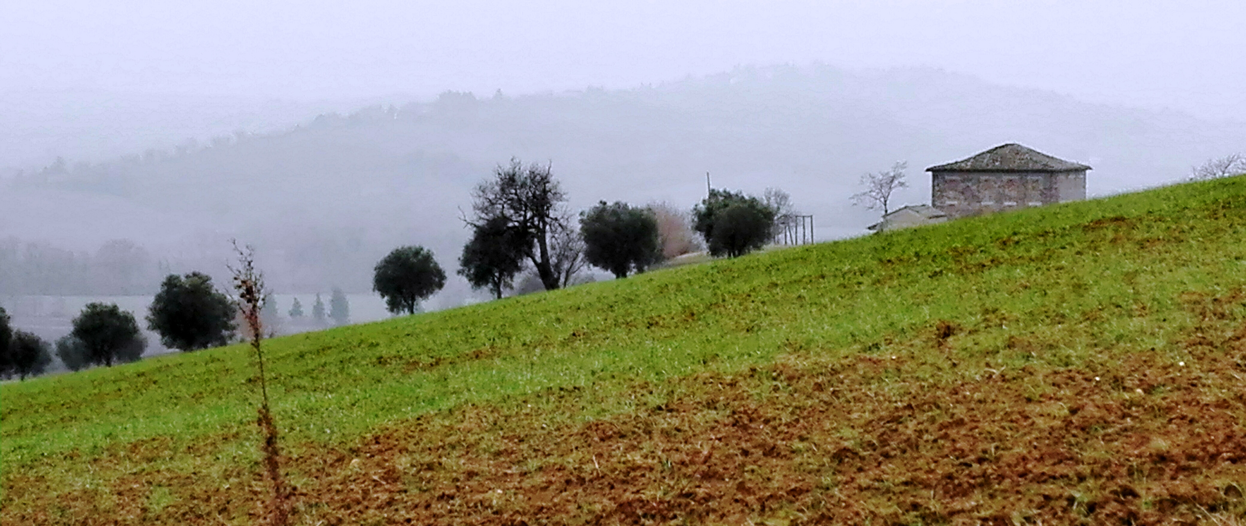 IMG_20170215_211132 taglio