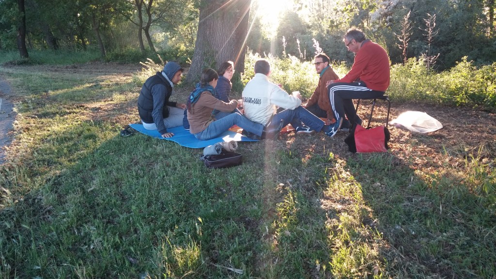 Fare compagnia all’albero