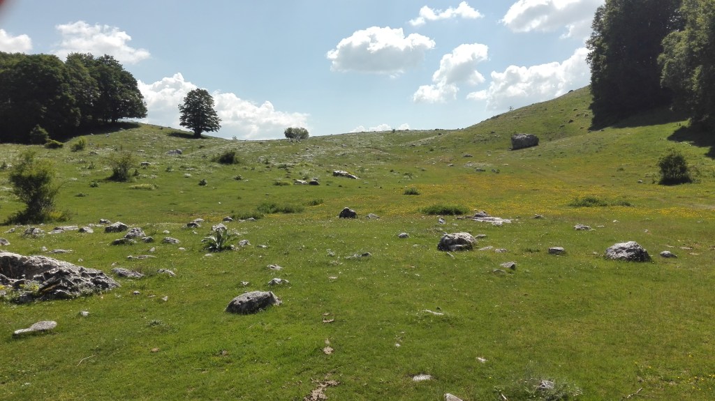 A piedi nudi sulla&nbsp;terra…