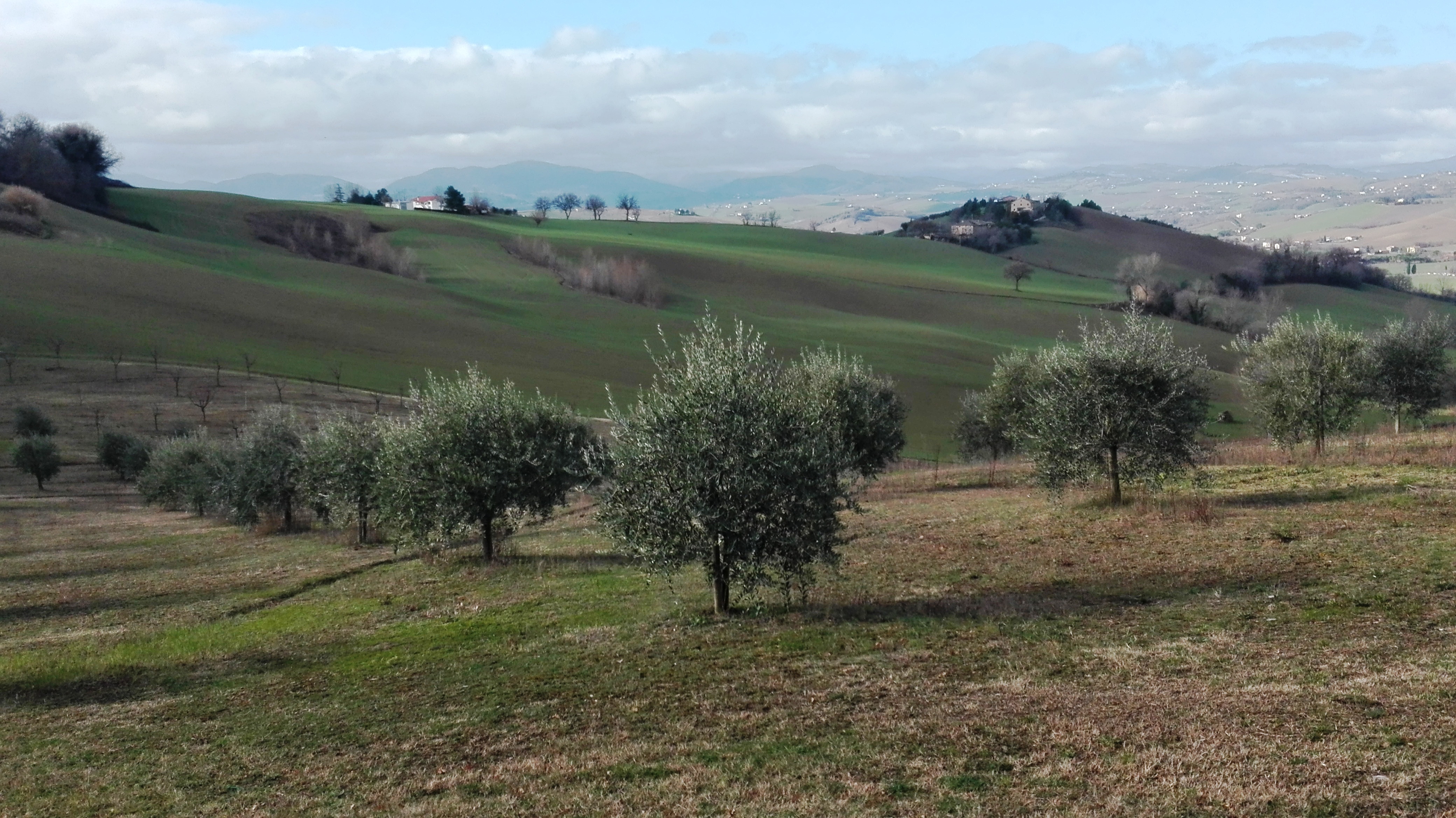 IMG_20170218_094306 M