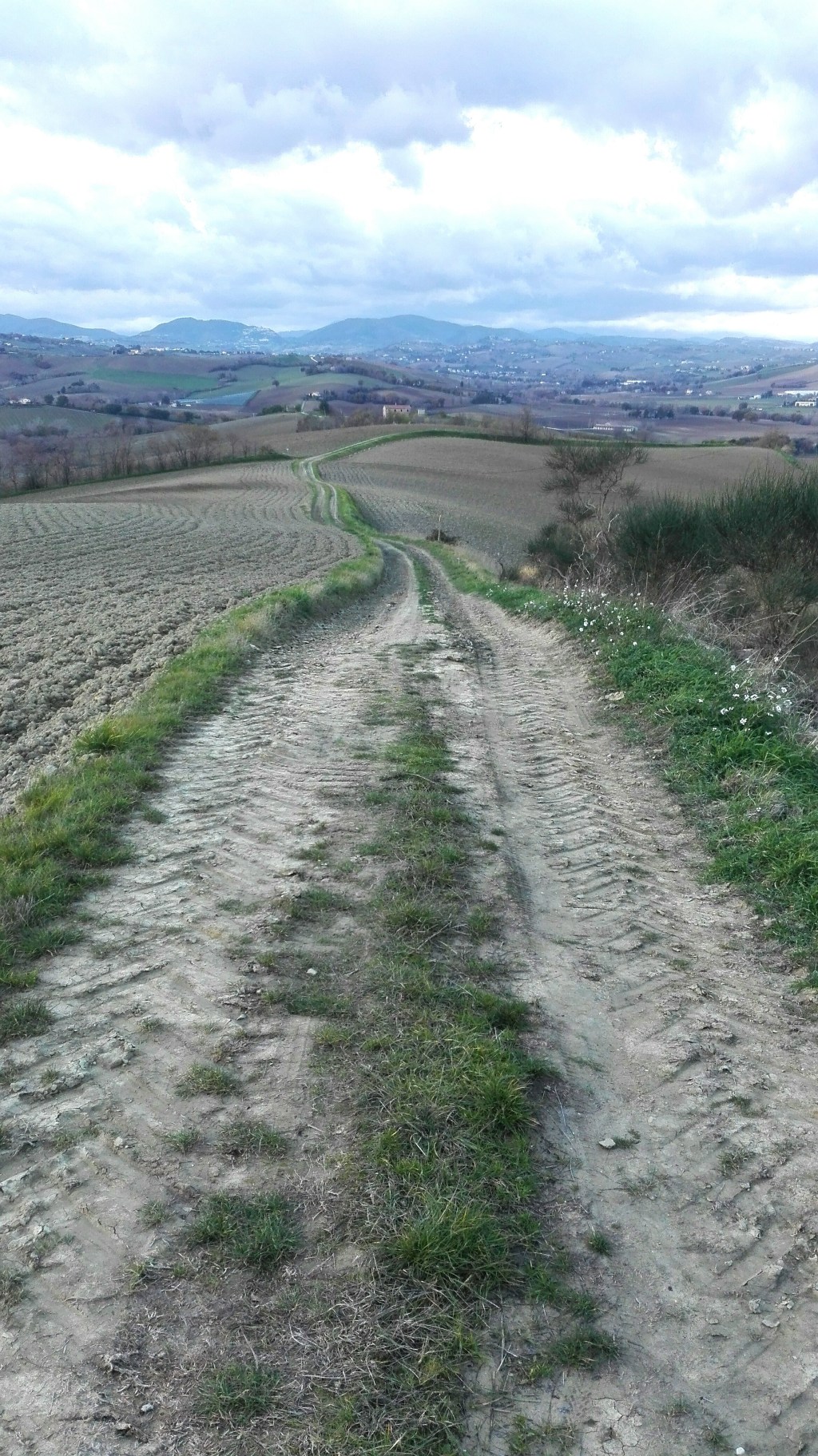 Sentieri di passi e&nbsp;pensieri