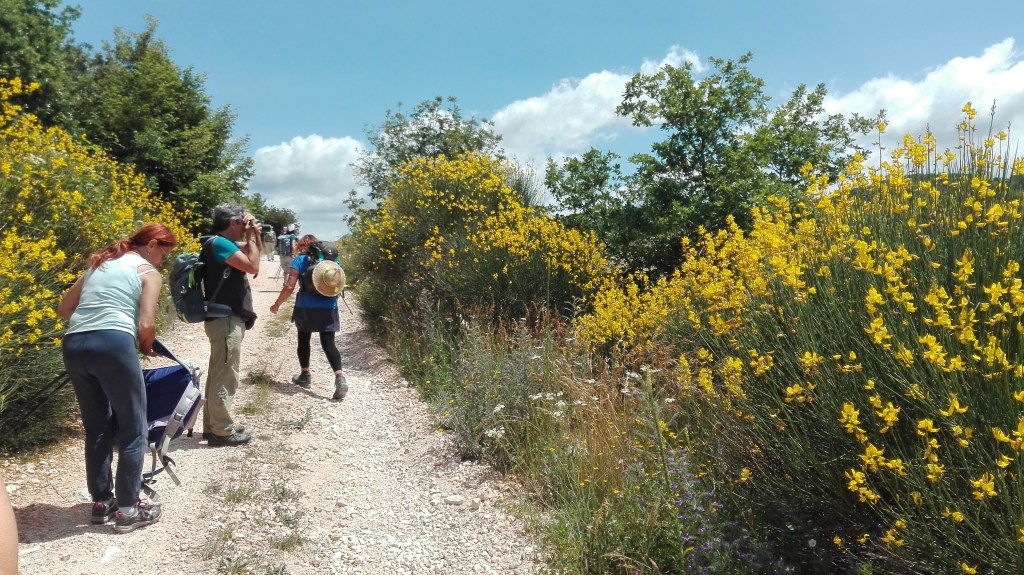 Un inizio di cammino