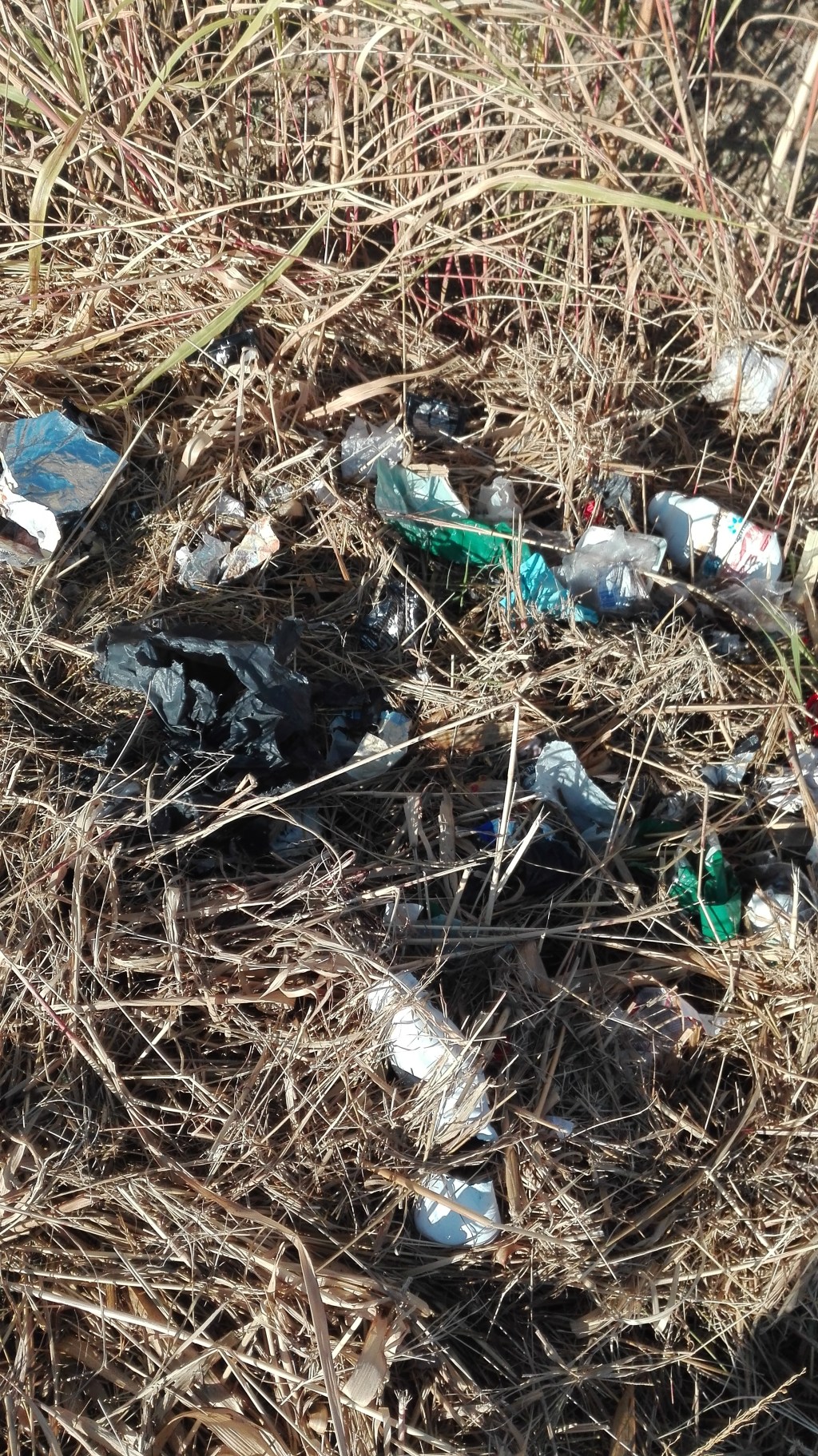 L’universo in un abitacolo