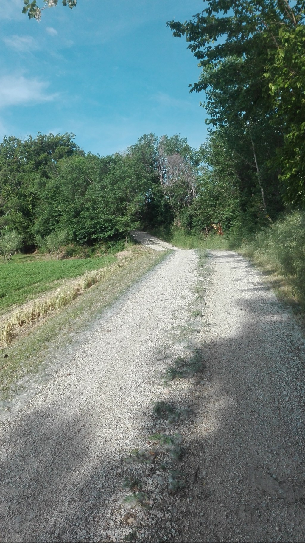 Uno stradello dentro e fuori dai pensieri inutili.