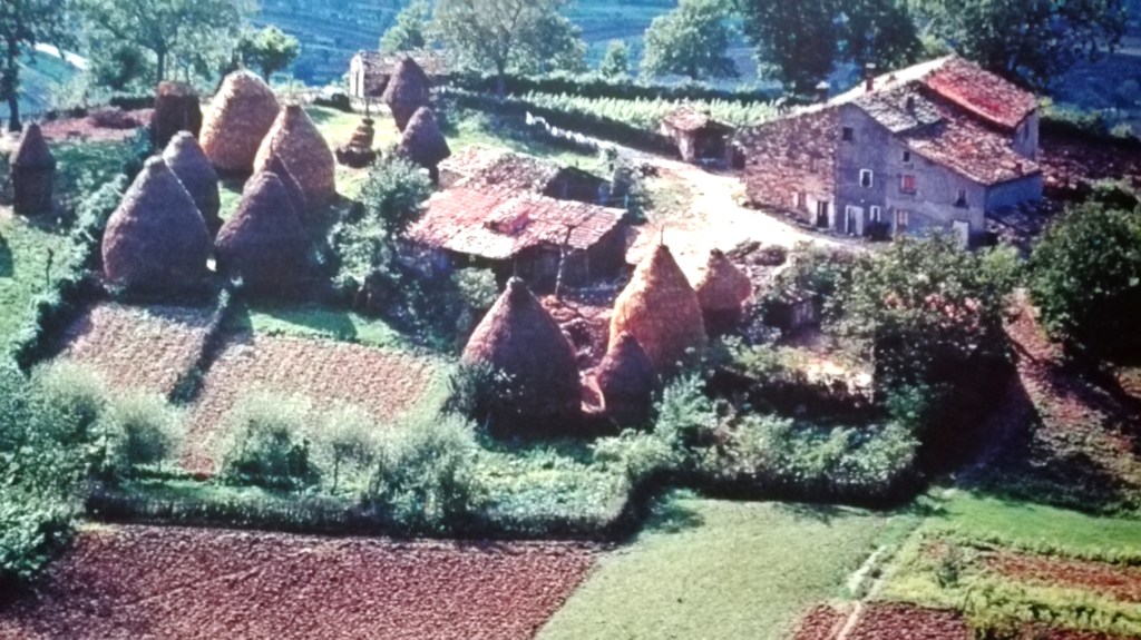 Regalo di matrimonio