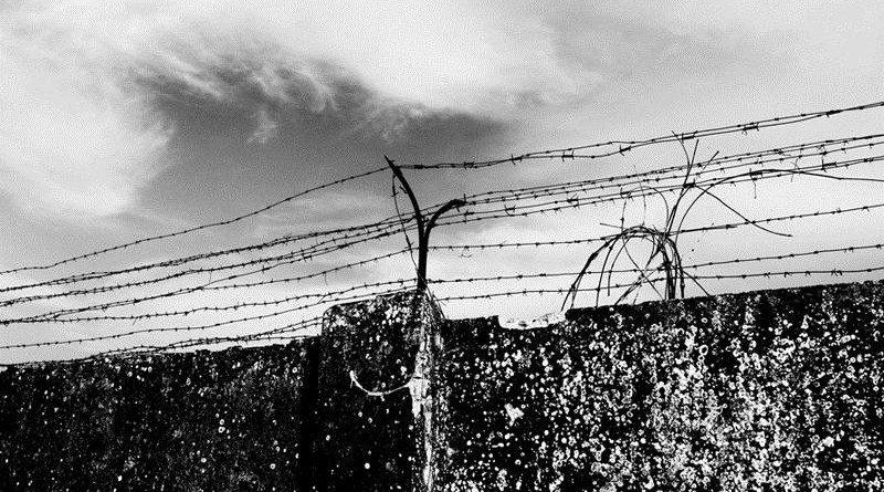 Il coraggio di guardare&nbsp;vicino