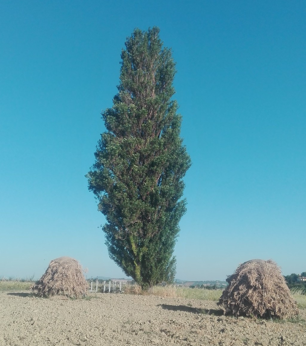 Primo giorno della scuola&nbsp;futura