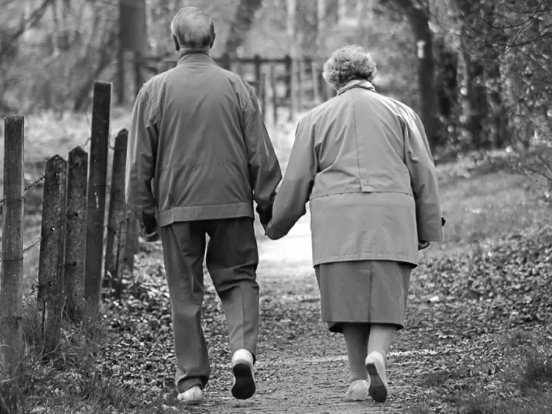 Non servirà scusarsi