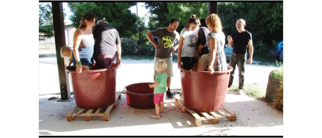 Grappoli d’uva e mosto in una giornata&nbsp;speciale