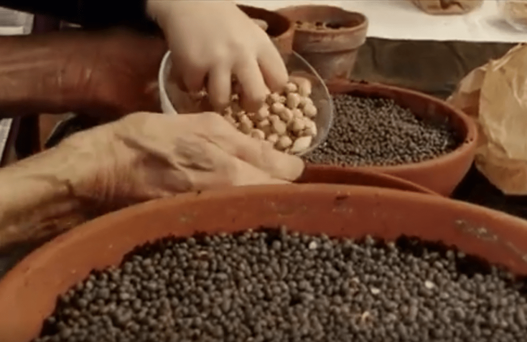 Sembra una cosa&nbsp;strana